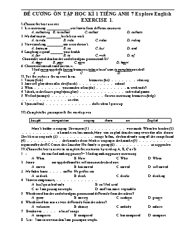 Đề cương ôn tập học kì 1 môn Tiếng Anh Lớp 7 Explore English