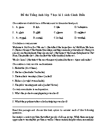 Đề thi học kì 1 môn Tiếng Anh Lớp 7 Sách Cánh diều (Có đáp án)