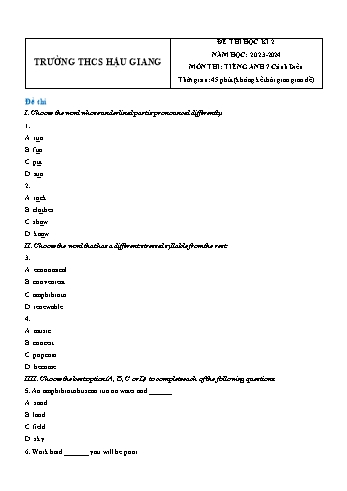 Đề thi học kì 2 môn Tiếng Anh Lớp 7 (Cánh diều) - Năm học 2023-2024 - Trường THCS Hậu Giang - Đề 1 (Có đáp án)